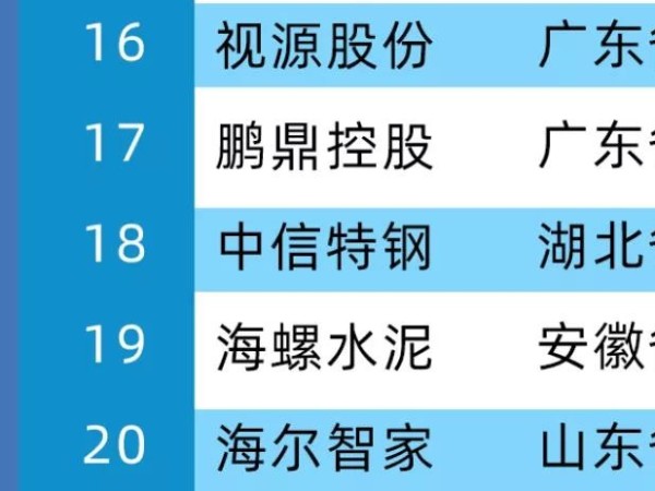 2020年中国制造业价值500强，MAXHUB母公司视源股份位居第16位