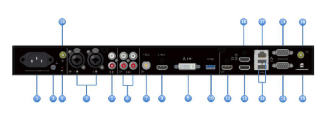 小鱼易连香蕉视频免费看污的接口丰富